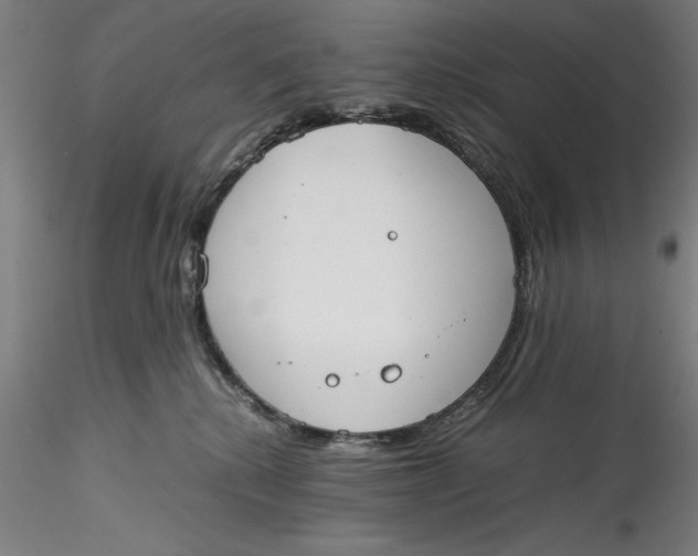 X0000115540280200911271417