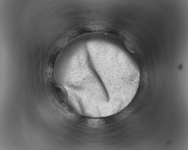 X0000115540281200911271417