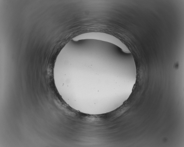 X0000115540284200911271417