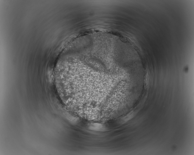 X0000115540285200911271417