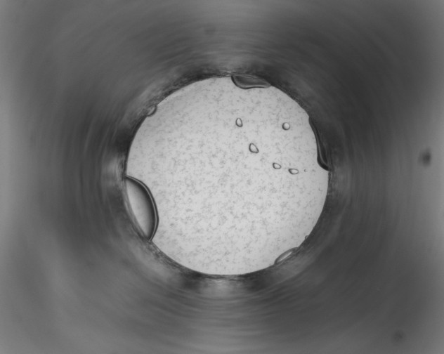 X0000115540286200911271417