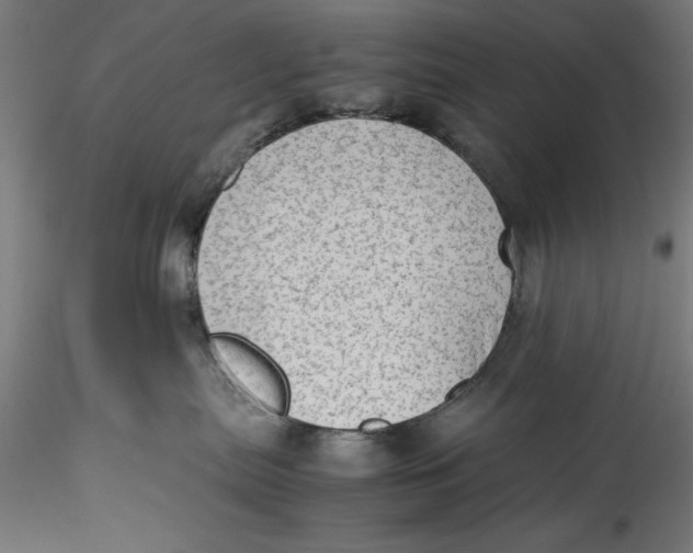 X0000115540287200911271417