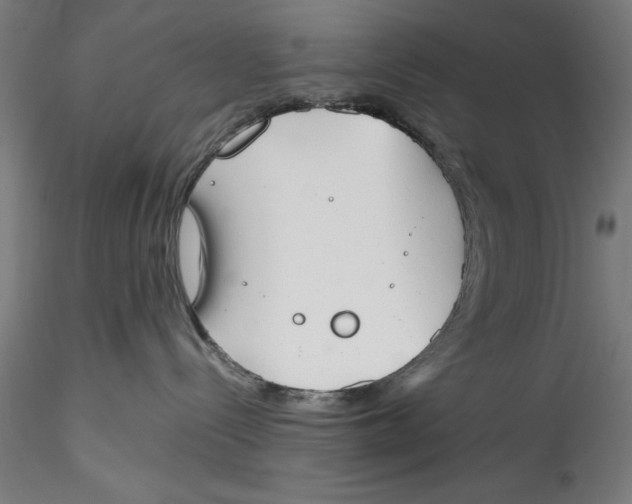 X0000115540288200911271417