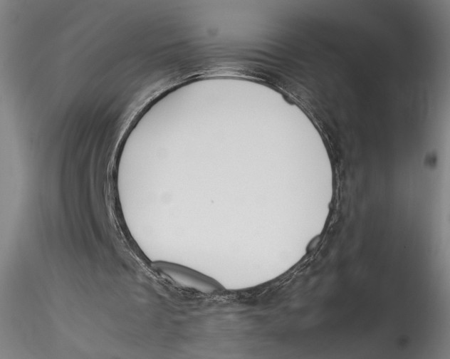 X0000115540289200911271417