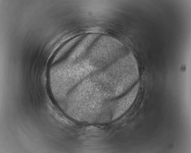 X0000115540290200911271417