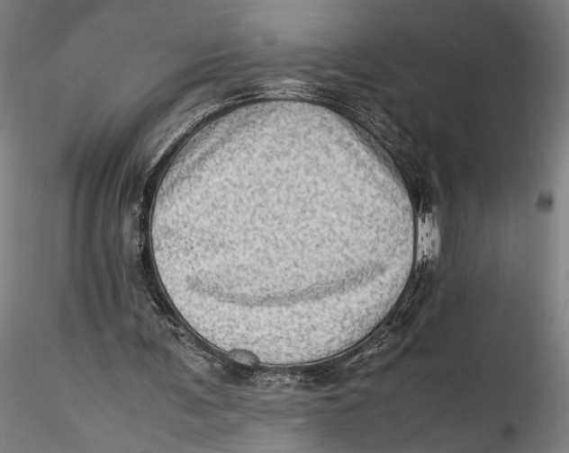 X0000115540291200911271417