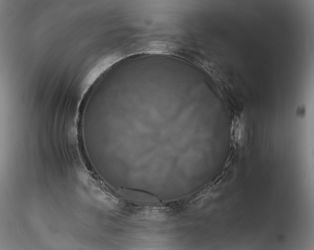 X0000115540292200911271417