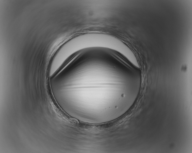 X0000115540293200911271417