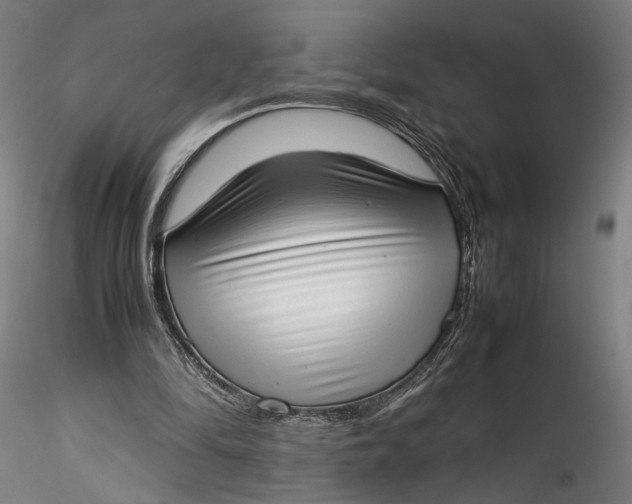 X0000115540294200911271417