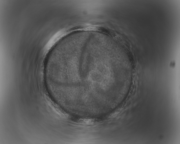 X0000115540295200911271417