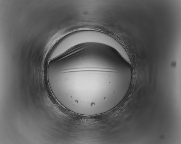 X0000115540296200911271416