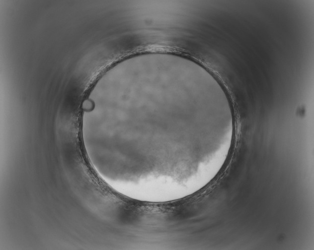 X0000115540297200911271416