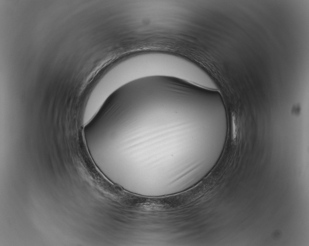 X0000115540300200911271416