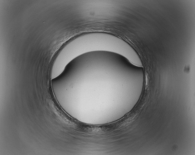 X0000115540301200911271416