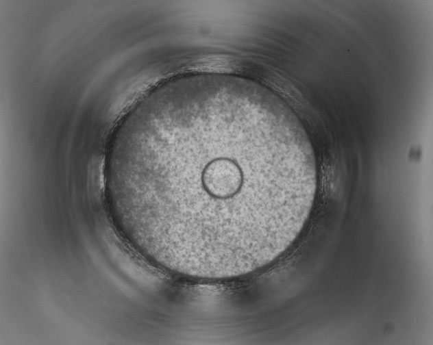 X0000115540302200911271416