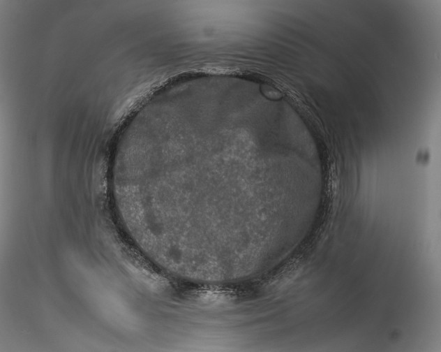 X0000115540303200911271416