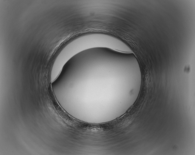 X0000115540304200911271416