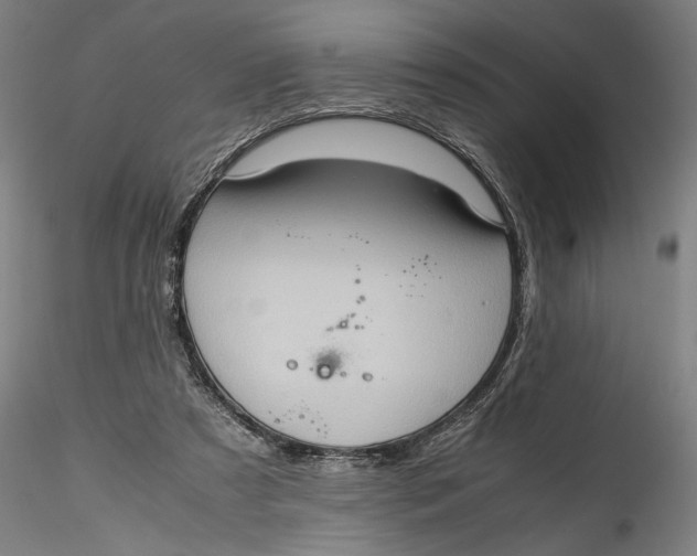 X0000115540305200911271416