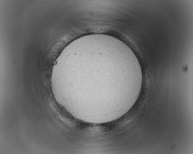 X0000115540307200911271416