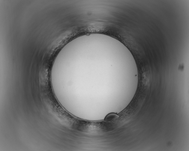 X0000115540308200911271416