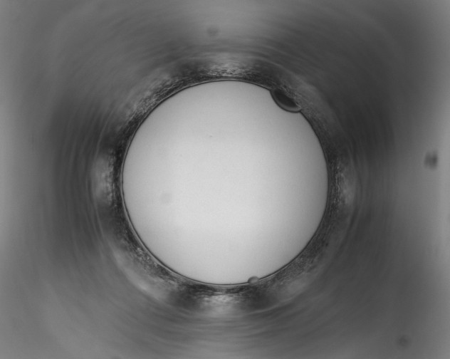 X0000115540312200911271416