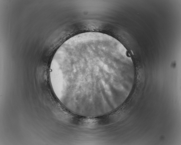 X0000115540313200911271416