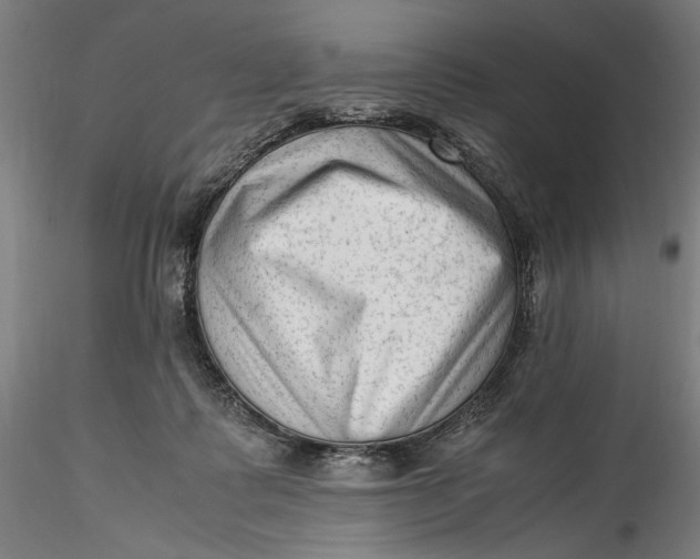 X0000115540315200911271416