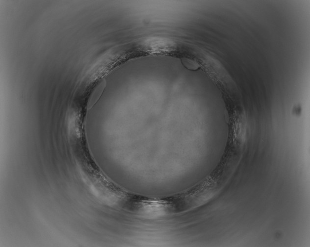 X0000115540316200911271416