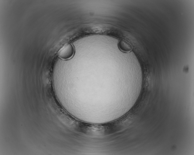 X0000115540317200911271416