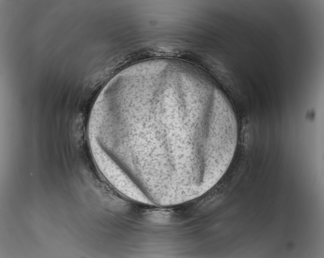 X0000115540318200911271416