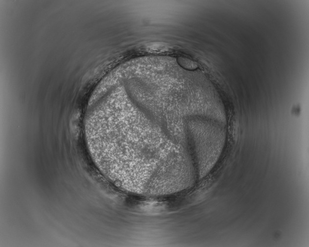 X0000115540319200911271416