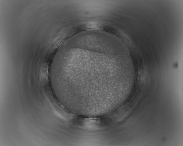 X0000115540320200911271416