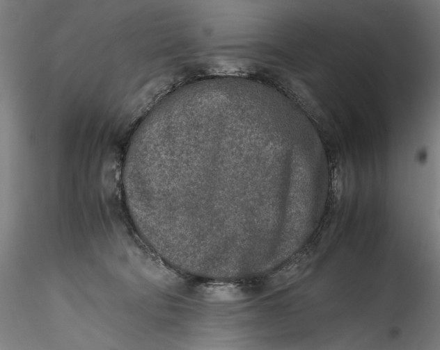 X0000115540322200911271416