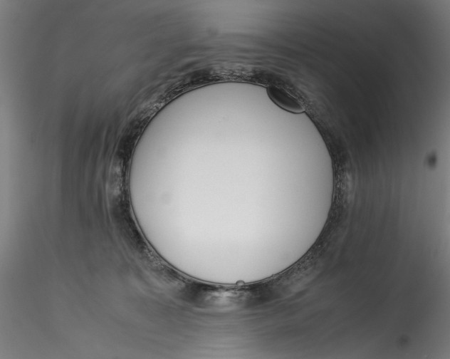 X0000115540323200911271416