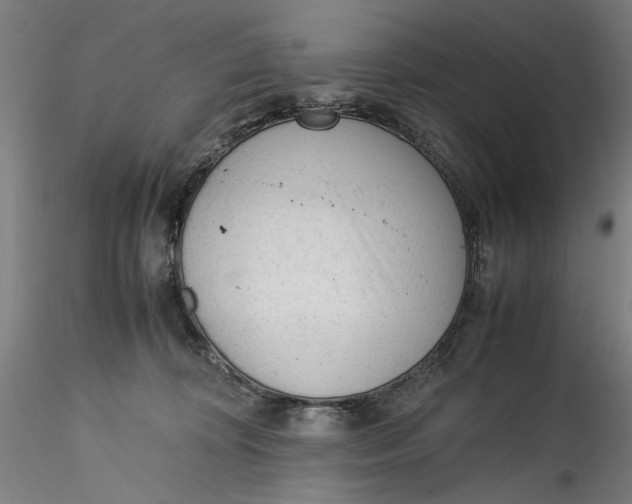 X0000115540324200911271416