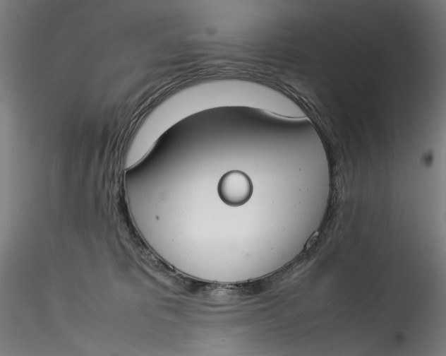 X0000115540325200911271416