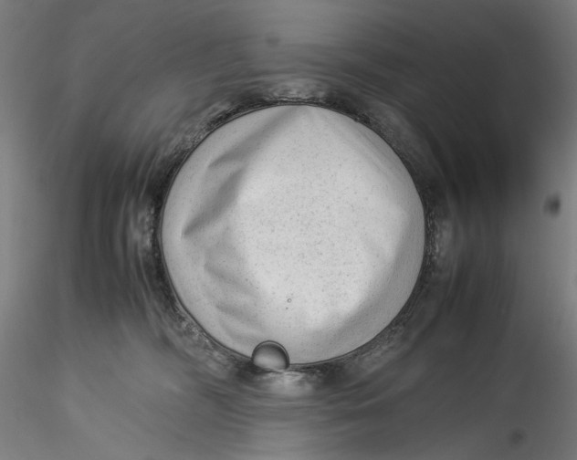 X0000115540326200911271416