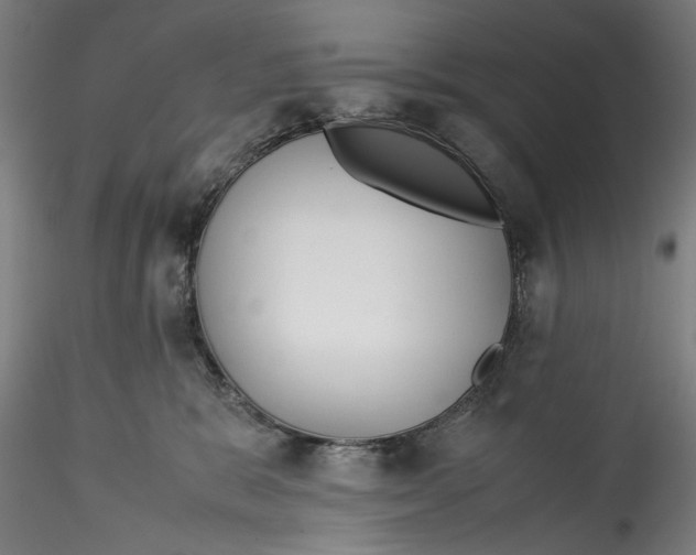 X0000115540327200911271416