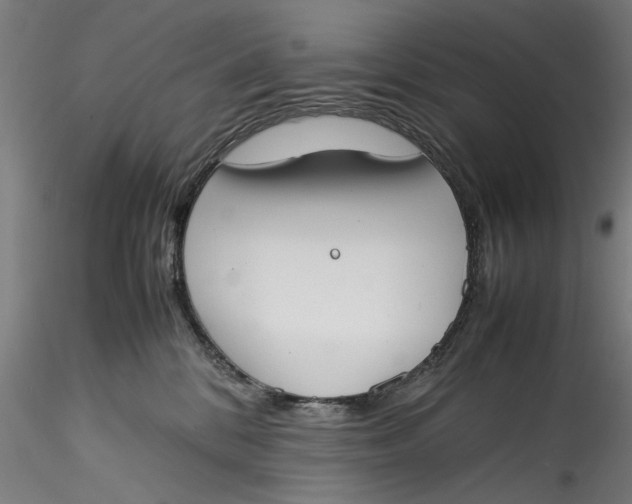 X0000115540328200911271416