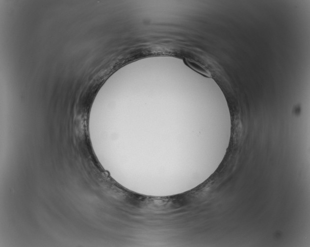 X0000115540329200911271416