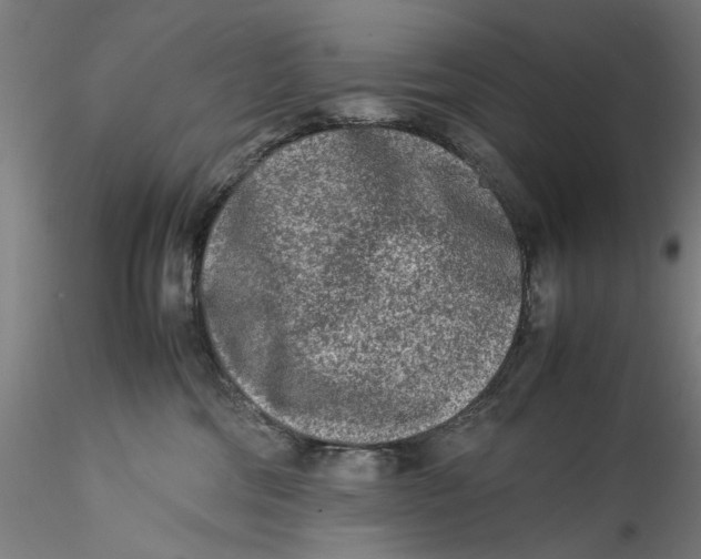 X0000115540330200911271416