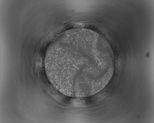 X0000115540331200911271416