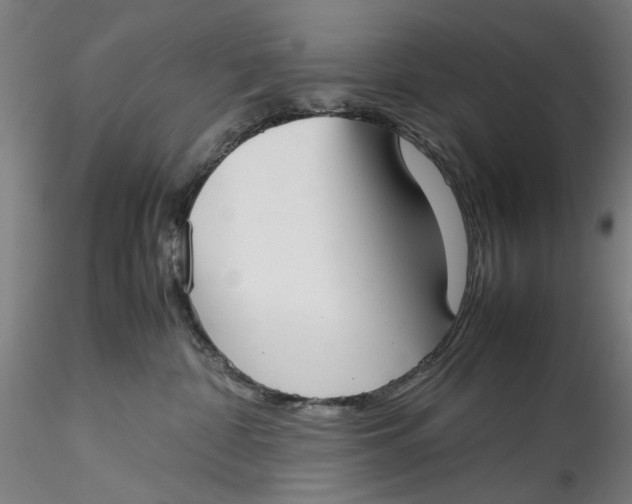 X0000115540332200911271416