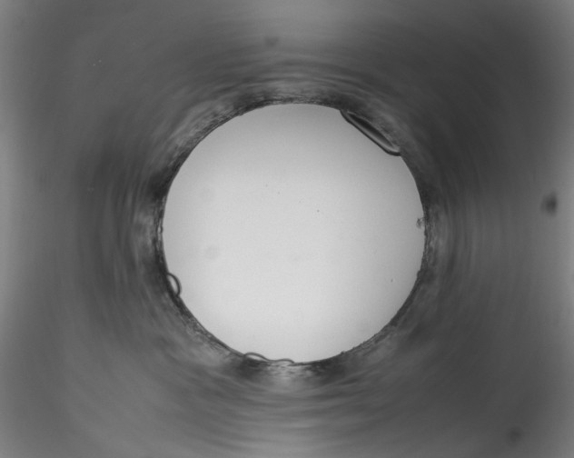 X0000115540333200911271416