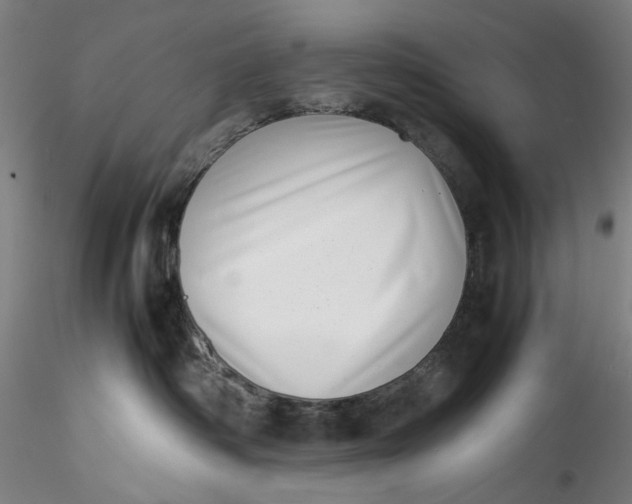 X0000115540334200911271416