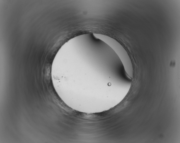 X0000115540336200911271416