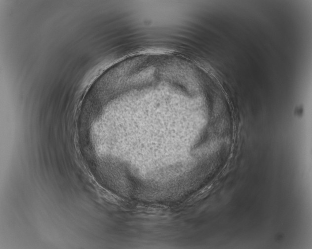 X0000115540337200911271415