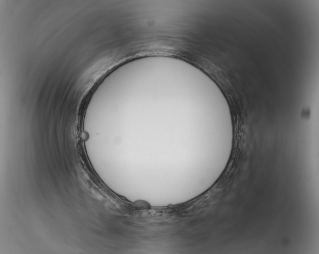 X0000115540338200911271415