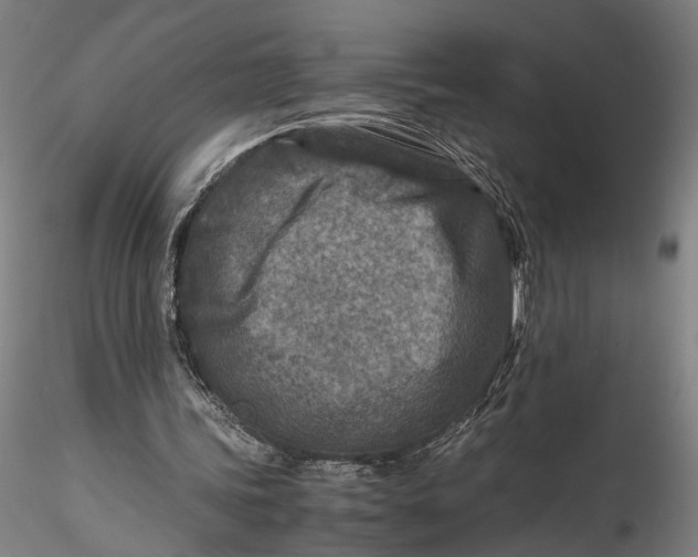 X0000115540339200911271415