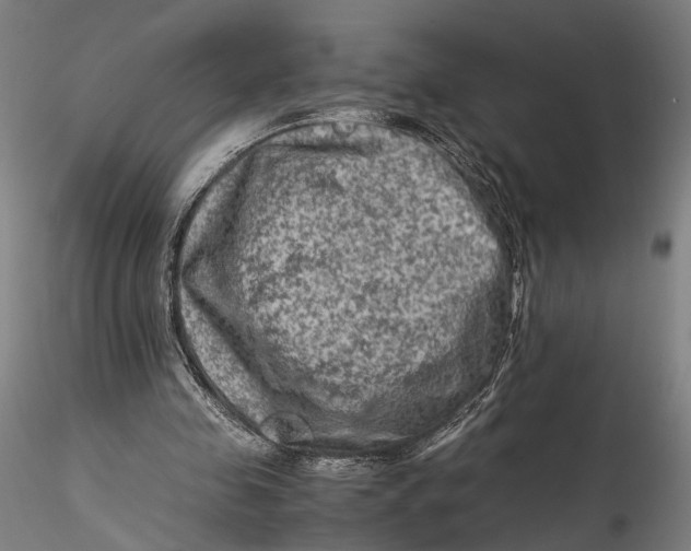 X0000115540341200911271415